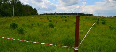 Проверка выявила множество незаконно занятых земельных участков в Карелии