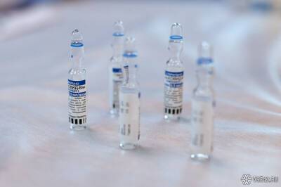Гинцбург назвал необходимое количество антител для защиты от коронавируса