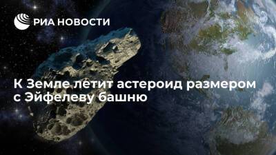 Астероид 4660 Nereus приблизится к Земле 11 декабря - ria.ru - Москва