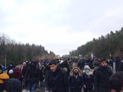 Польша стянула войска к границе с Белоруссией. Миграционный кризис...