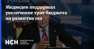 Медведев поддержал увеличение трат бюджета на развитие сел