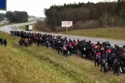 Мигранты, идущие к польско-белорусской границе, направляются в Германию