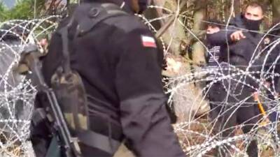 Мигранты начали резать проволоку на границе Польши и Белоруссии