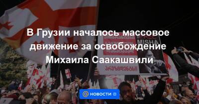В Грузии началось массовое движение за освобождение Михаила Саакашвили