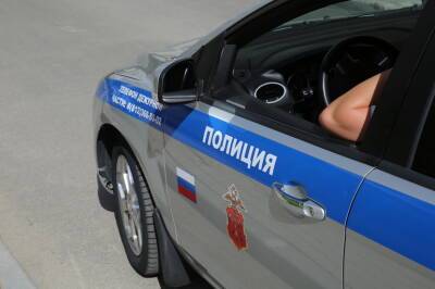 Суд в Колпине наказал автомобилиста, причинившего сотруднику ДПС «нравственные страдания»