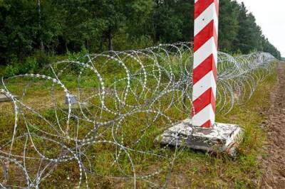 Минобороны Польши: нелегальные мигранты пытаются форсировать границу с Белоруссией