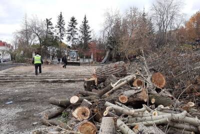 В «Добросельском» парке Владимира рубят деревья