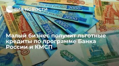 Малый бизнес получит льготные кредиты по программе Банка России и КМСП