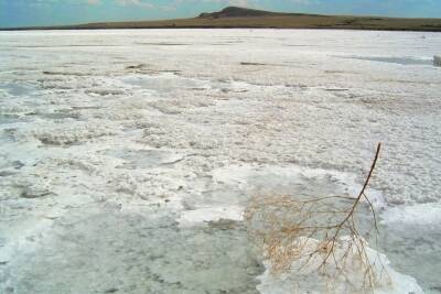 Астраханцы могут поддержать туристический маршрут «Астраханское мёртвое море – озеро Баскунчак»