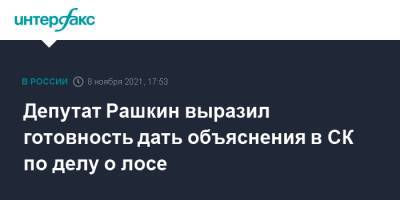 Депутат Рашкин выразил готовность дать объяснения в СК по делу о лосе