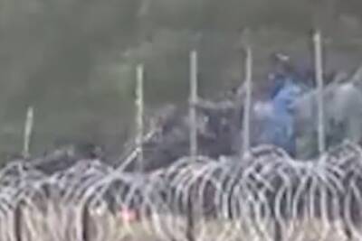 Толпа мигрантов повалила забор на польско-белорусской границе