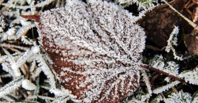 Во вторник утром по всей Латвии ожидается небольшой мороз