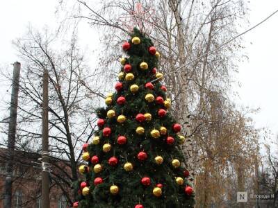 Три новогодние елки за полмиллиона рублей закупит Нижний Новгород