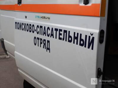 СМИ: пропавшая в Нижнем Новгороде девочка-подросток нашлась у жениха в Перми