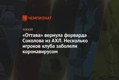 «Оттава» вернула форварда Соколова из АХЛ. Несколько игроков клуба заболели коронавирусом