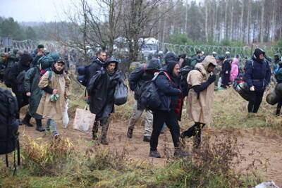 Названо число собравшихся на границе Белоруссии и Польши мигрантов