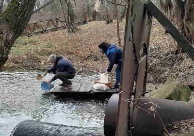 В Мулловке продолжается отбор проб воды из реки Сосновка