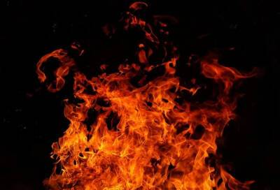 Во Всеволожском районе 8 ноября спасатели ликвидировали пожар