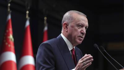 Эрдоган заявил о готовности Турции вести трансграничные антитеррористические операции