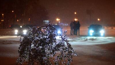 Городские службы заявили о готовности к ухудшению погоды в Москве