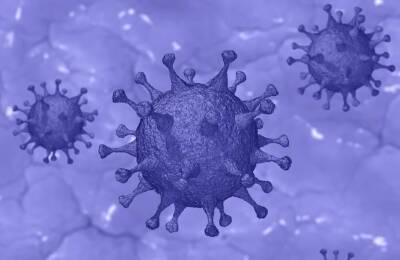 В Роспотребнадзоре сообщили, что симптомы коронавируса чаще стали напоминать ОРВИ и грипп