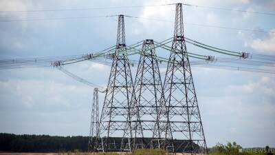 Павел Дрозд - Белоруссия объявила об остановке поставок электроэнергии на Украину - newdaynews.ru - Украина - Белоруссия