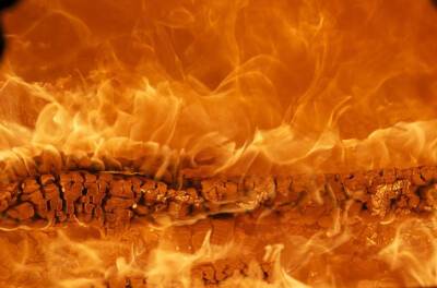 С начала года в Башкирии произошло почти 10 тысяч пожаров