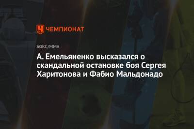 Александр Емельяненко - Сергей Харитонов - А. Емельяненко высказался о скандальной остановке боя Сергея Харитонова и Фабио Мальдонадо - championat.com