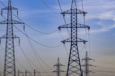 Павел Дрозд - Белоруссия отказалась продавать Украине электроэнергию - lenta.ru - Украина - Белоруссия
