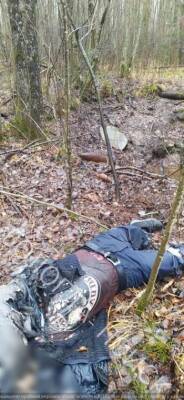 Жесть СЗФО: обезображенное тело «черного копателя» найдено на Синявинских высотах