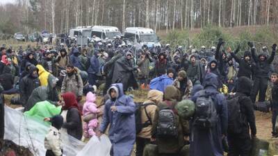 Президент Латвии призвал к санкциям против перевозчиков мигрантов в Белоруссию