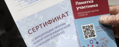 В Греции привитые «Спутником V» россияне могут предъявить бумажный сертификат