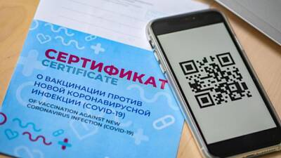 Жители Новосибирска раскритиковали введение QR-кодов с 12 ноября при посещении общепита