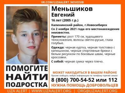 Пропавший в Новосибирске 16-летний Евгений Меньшиков выходил на связь