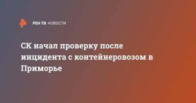 СК начал проверку после инцидента с контейнеровозом в Приморье - ren.tv - Россия - Приморье край - Находка - Суда