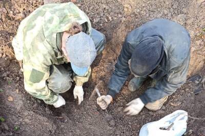 В Зубцовском районе нашли останки солдата с остатками амуниции