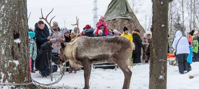 Туристы с детьми готовятся поехать зимой в Карелию