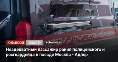 Неадекватный пассажир ранил полицейского и росгвардейца в поезде Москва - Адлер