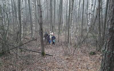 Семейство грибников заблудилось в одном из лесов Липецкой области
