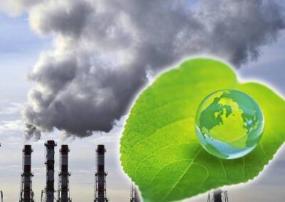 Greenpeace: Россия принимает ложные решения на пути развития зеленой экономики