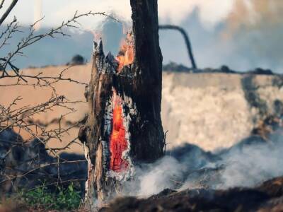 В Нигере вспыхнул пожар в школе из соломы, погибли 26 детей