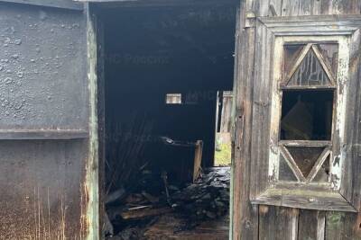 Обнаружен труп на месте пожара в нежилом доме в Починковском районе