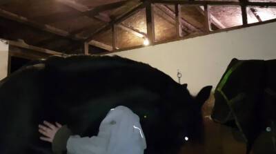 Объятия от дружелюбного коня умилили сеть (Видео)