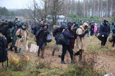Нужна помощь ЕС: Германия и Польша не могут одни справиться с ситуацией на границе