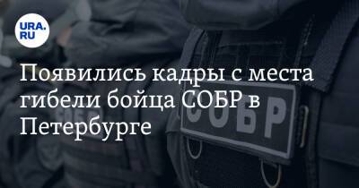 Появились кадры с места гибели бойца СОБР в Петербурге. Видео