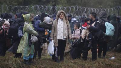 Трансляция из лагеря мигрантов на границе Белоруссии и Польши