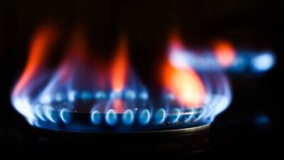 Россия и Белоруссия договорились о стоимости газа на 2022 год