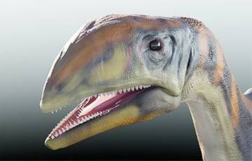 В Гренландии нашли динозавра нового вида