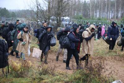 Полиция ФРГ: Германия и Польша не справятся с ситуацией на границе