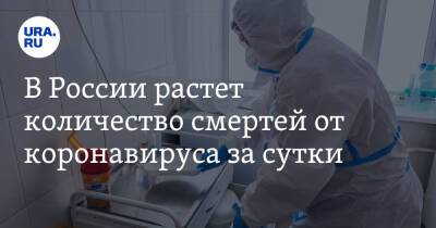 В России растет количество смертей от коронавируса за сутки